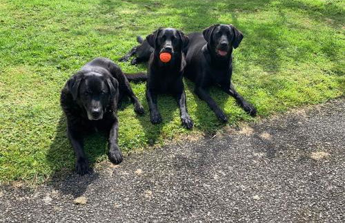 The Ploughman's Poet - Photo 31