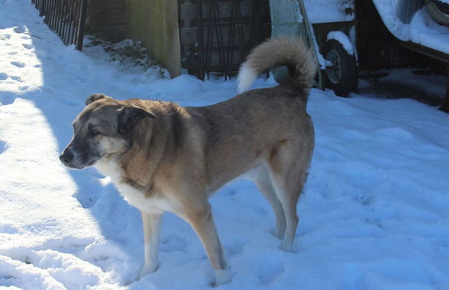 Family Idyll Comfortable Holiday Residence - Foto 15