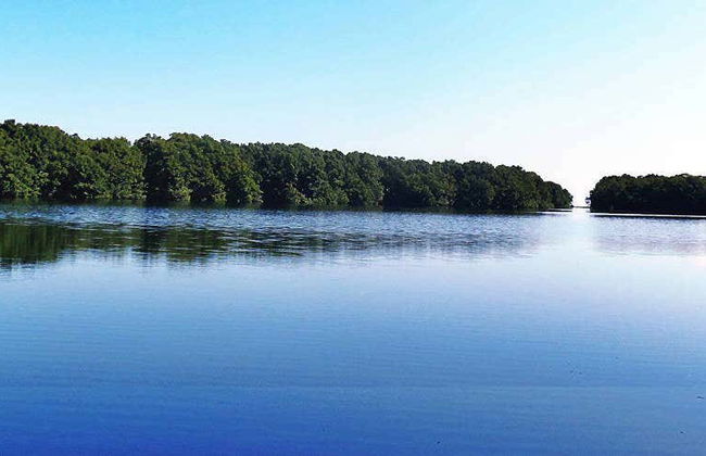 Cacao Lagoon Kayak Tour - Photo 1