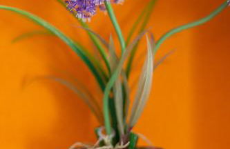 Beauty & Cozy apartment - Foto 14