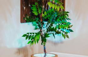 Wellness Paradise mit Whirlpool - Foto 47