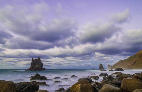 Green Cactus cosy Loft, Wifi & Gym - Foto 29