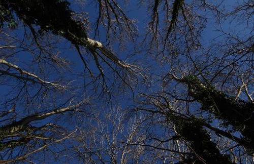 Corte Isolo - Photo 23