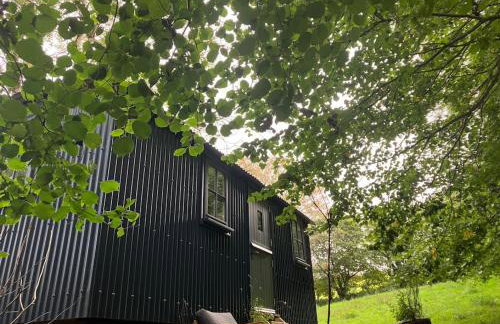 Cornwall Woodland Shepherd's Hut with Hot Tub - Deirdres Hut - Foto 1