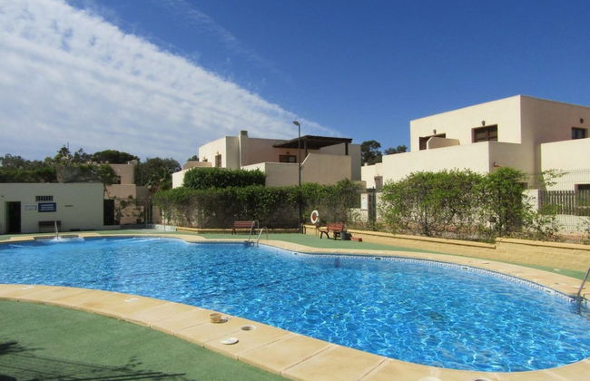 Caballo de Mar Frison - Foto 12