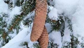 Biały Domek Nielbark - Agroturystyka - Foto 4