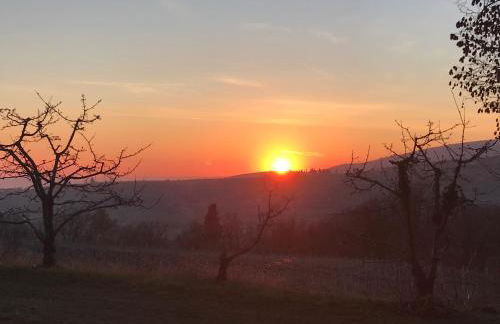 Valpolicella Hills - Foto 12