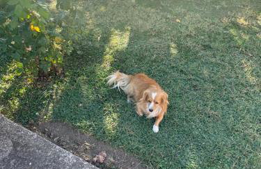 Sofias Cottage Trikala - Photo 54