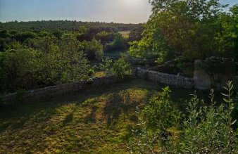 Villa Dvori Dida Mile - Foto 69