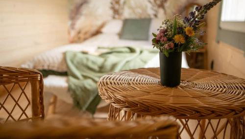 Dzika Warmia- Retreat in the Wild - Foto 3