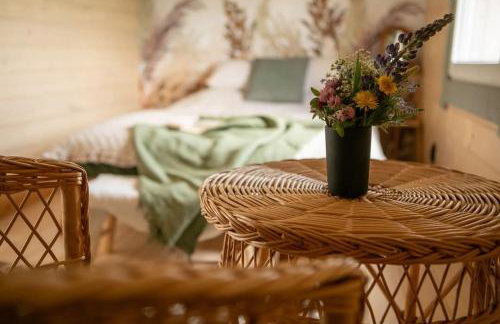 Dzika Warmia- Retreat in the Wild - Foto 3