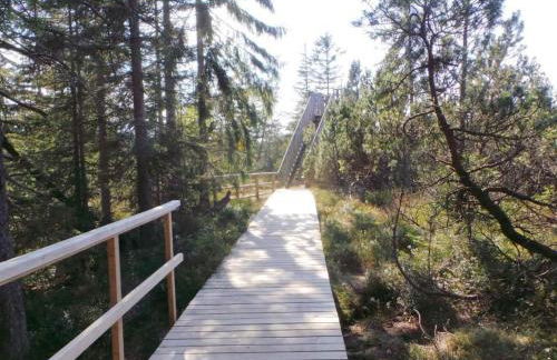 Apartment Fewo Am Skihang OG by Interhome - Foto 21