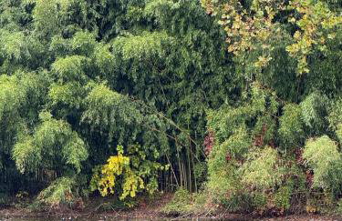 Bucks County Home Farm Philadelphia Dog Friendly - Foto 39