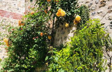 Maison d'architecte en plein cœur d'Honfleur avec bain nordique - Foto 13