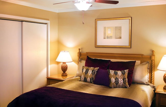 Moonbeam City ELF Home - Foto 2