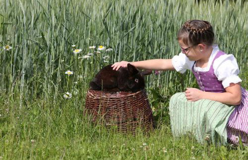 Beim Lenglacher - Photo 6