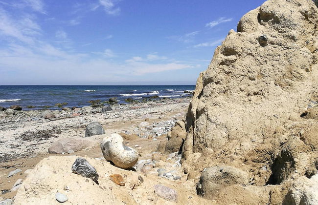 Ferienhaus Klint in Lancken - Foto 27