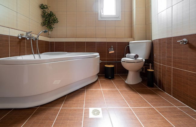 Pigadaki Villas Polychrono - Photo 20