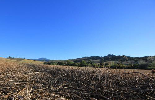 La Terrazza sulla Val d'Orcia - Foto 38