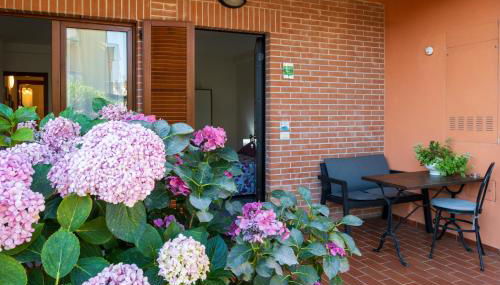 Le Ortensie - Foto 3