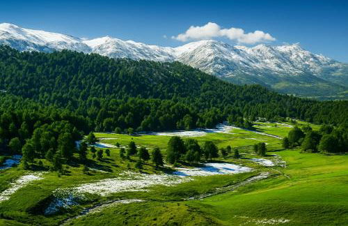 La Casita de Rosi - Photo 30