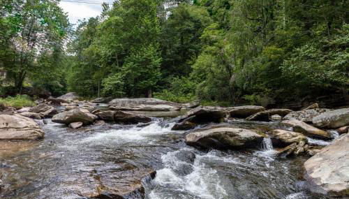 Draggin Fly - Foto 2