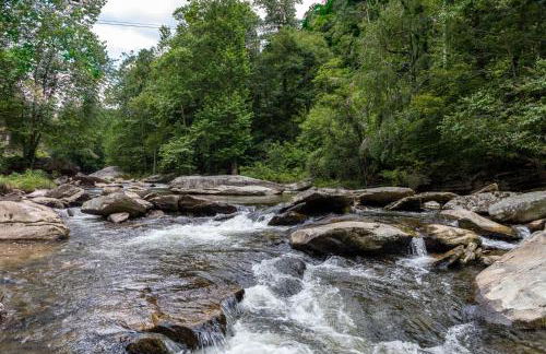 Draggin Fly - Foto 2