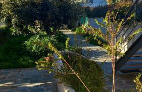 Pavlos apartment - Foto 50