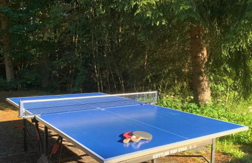 Studio Hase Saig - Photo 34