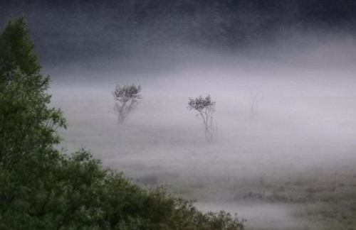 Holzhäusl am Nationalpark - Foto 21