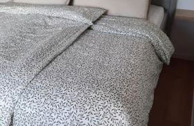 Ferienwohnung Nordlichtquartier - Wallsbüll - Foto 13