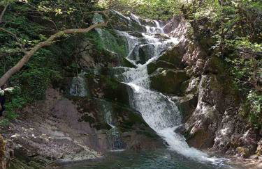 το Πέτρινο της Στέλλας - Foto 29