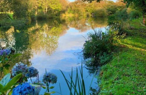 Hengar Manor 4 bed Sleeps 9 - Foto 48