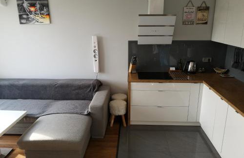 Apartament SIECHNICE - Photo 8