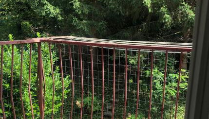 Guesthouse Gigli 2 - Free Tourist Card & car parking - no trucks - Foto 2, Garden