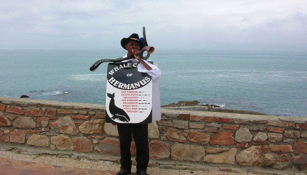 Excursión de día completo a Hermanus - Foto 1