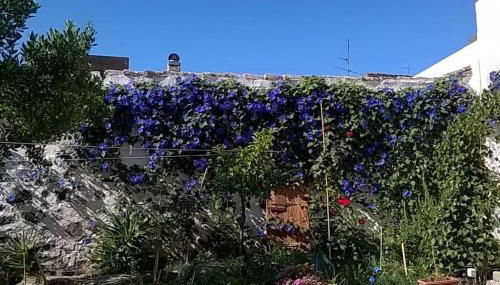 Traditional house Zia Dina - Foto 4