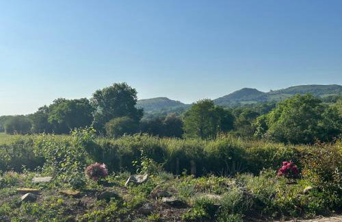 Owlbury Hall Barn - Foto 25