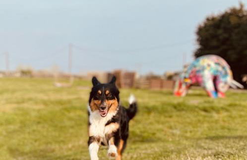 MAS DES PAZ - Foto 34