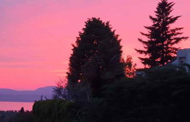 Apartment in Bardolino - Gardasee 39739 - Foto 22