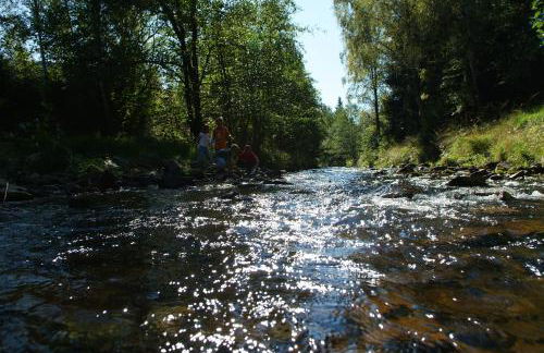 Ferienwohnung Harzblick - Foto 22
