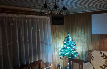 Domek w górach Wioletta - Foto 2