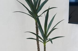 La Casa De Sandalio - Foto 11