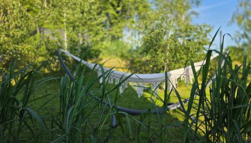 Domki Mazury z sauną i jacuzzi! - Foto 2, Garden