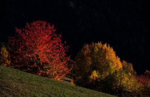 Appartment Kircherhof - Photo 43