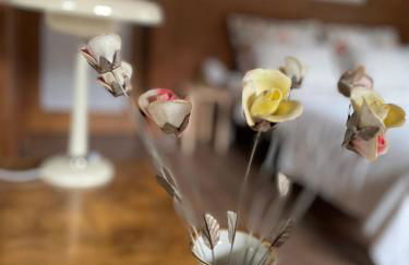 Villa Maria Dolomites Vintage Home - Foto 39