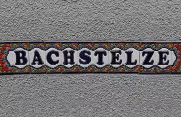 Ferienwohnung Bachstelze mit privater Terrasse - Foto 24