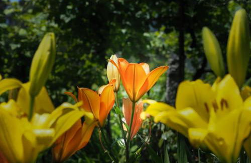 Casa de Pereiró - Foto 43