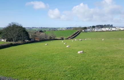 Romantic Hot Tub Breaks Marthys House Looe Polperro Talland Bay - Foto 29