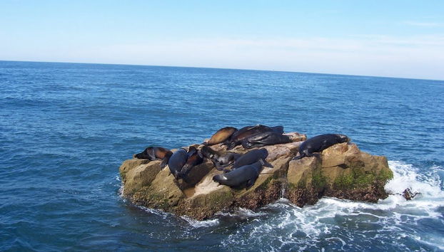 Tour por Isla de las Piedras - Foto 2